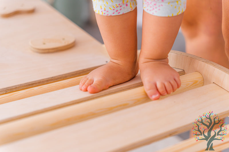 Nachhaltig, umweltfreundlich und ökologisch